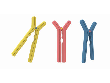 Schiacciainoci, colori assortiti Pedrini